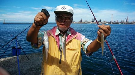 播磨新島へ４連投