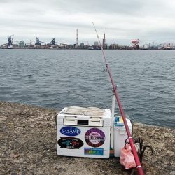 雨の播磨新島へキス調査　