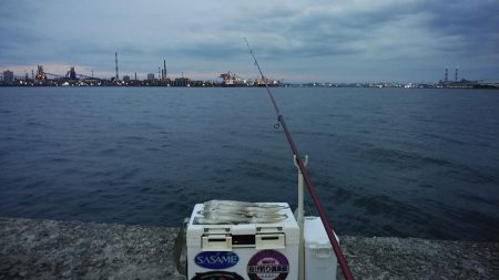 時合いバッチリの播磨新島釣行