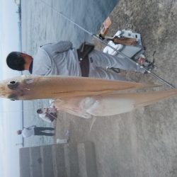 ピークを迎えた播磨新島のキス