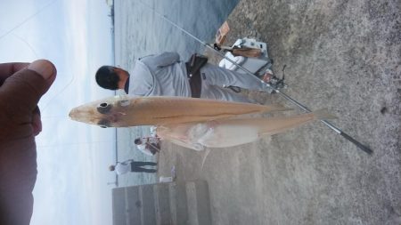 ピークを迎えた播磨新島のキス