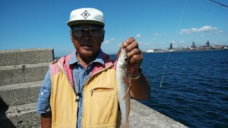 播磨新島でシーズン最大のキスが釣れました