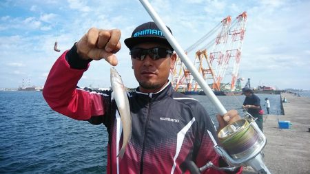 海水の汚れが気になります