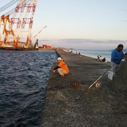 １６時から播磨新島へキス調査