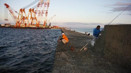 １６時から播磨新島へキス調査