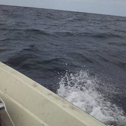 クーラーの中はカラフル