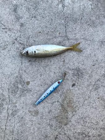 釣果も記憶も寒い！