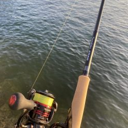 新子のこうちゃん