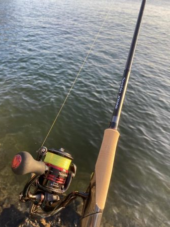 新子のこうちゃん