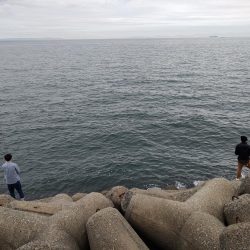 ショアジギング初釣果