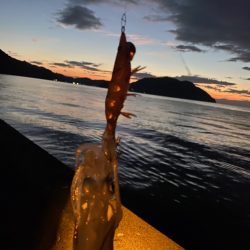 早く大きくな～れ！