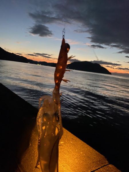 早く大きくな～れ！