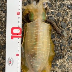 エギロストの犯人は・・・