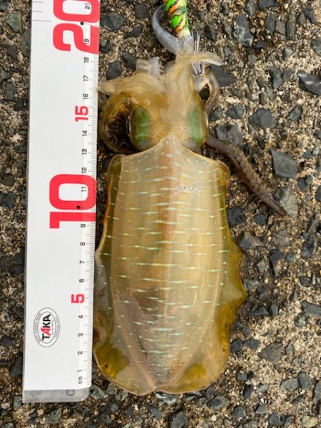 エギロストの犯人は・・・