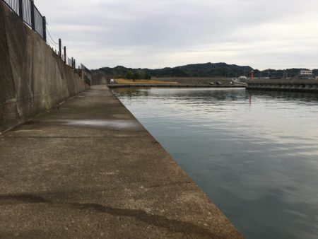 アジ、ヘダイ、サヨリ、チャリコ