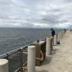 ゼンメ、アナゴ