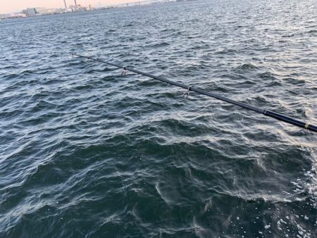 イワシがひたすら釣れ続け