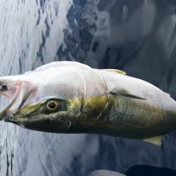 エソアタック！