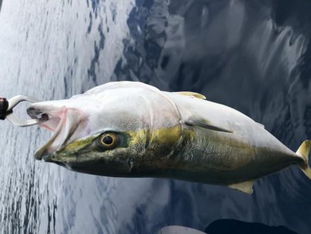 エソアタック！