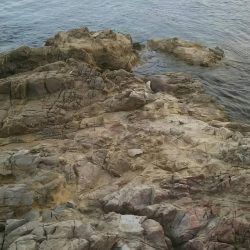 小場所の様子見