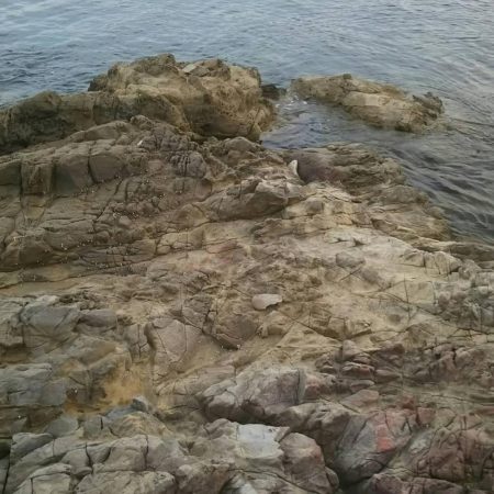 小場所の様子見