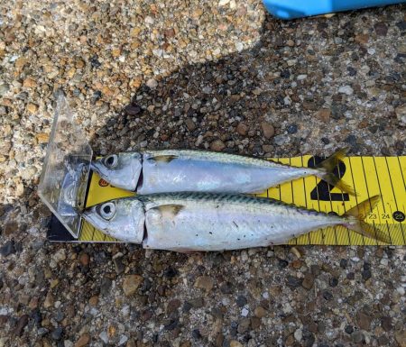 久しぶりのサバゲー