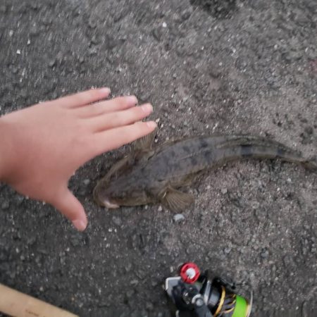 ふらっとフラット