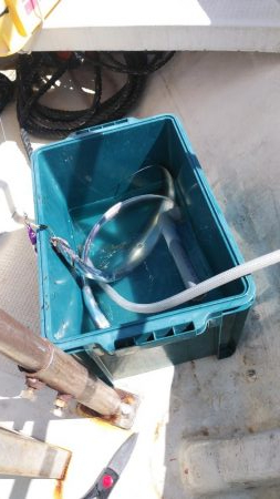 激シブジギング