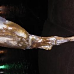 人がいっぱいなんです