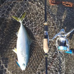 ライトタックルでナブラ撃ち