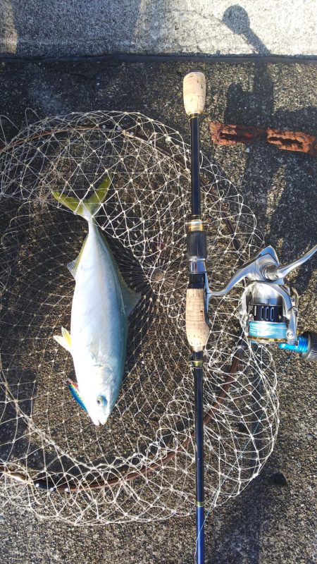 ライトタックルでナブラ撃ち