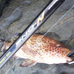 キャンプついでの釣り!