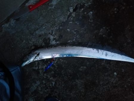 タチウオ狩りスタート