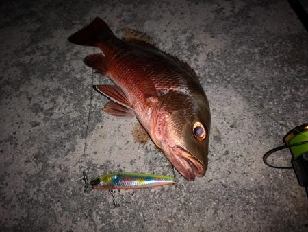１ヶ月ぶりの釣果
