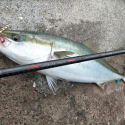 水潮攻略！思惑通りにメジロGET！