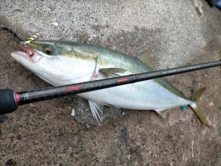 水潮攻略！思惑通りにメジロGET！