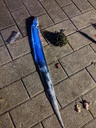 凄い人の数  太刀魚6匹