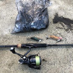 2020 佐渡ヶ島エギング 11回目