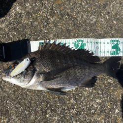 ポーズでRIDE ON!!