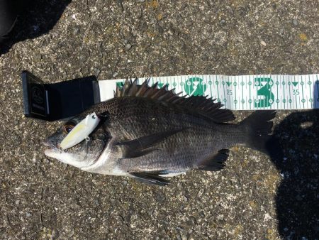 ポーズでRIDE ON!!