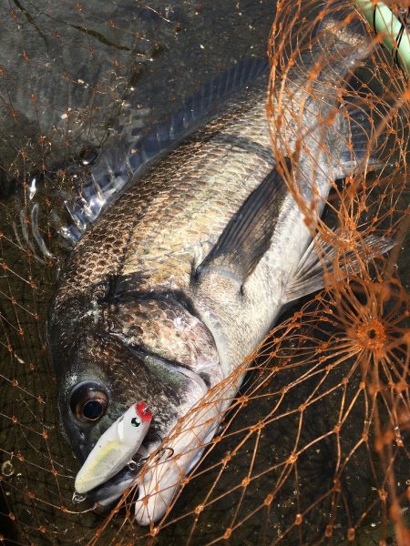 佐世保エリア河川でRIDE ON！