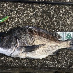 グッドウェイトが1匹