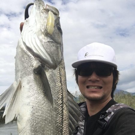 ライド オン パレード!