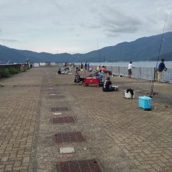 懲りずにリベンジ(^_^;)