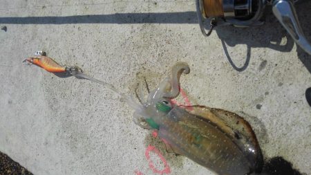 シャローでドンッ