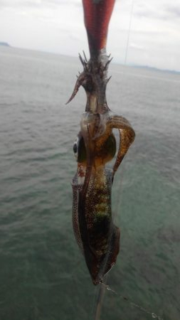 連休に連チャン調査