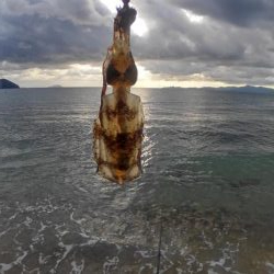 朝まずめ2時間勝負？