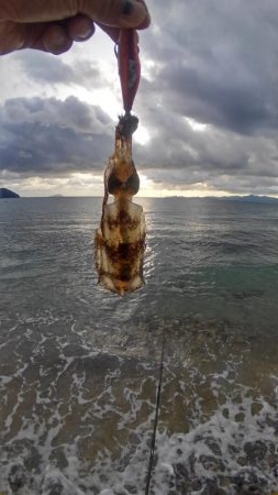 朝まずめ2時間勝負？