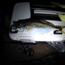 フロートゲーム