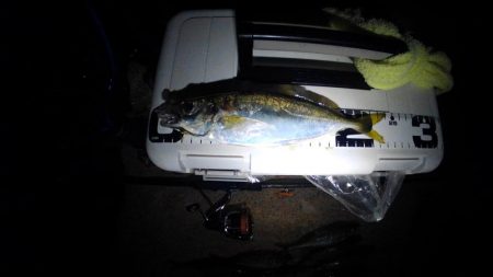 フロートゲーム